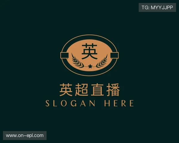 关于足球比赛直播